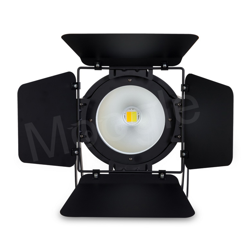 200W Cob Par Light